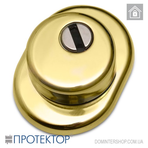 Купить Броненакладка Протектор (25 мм, полированная латунь) Одесса