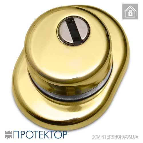 Купить Броненакладка Протектор (32 мм, полированная латунь) Одесса