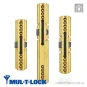 Цилиндр Mul-T-Lock MTL600 (ключ-ключ), 62(31/31), латунь полированная в Одессе
